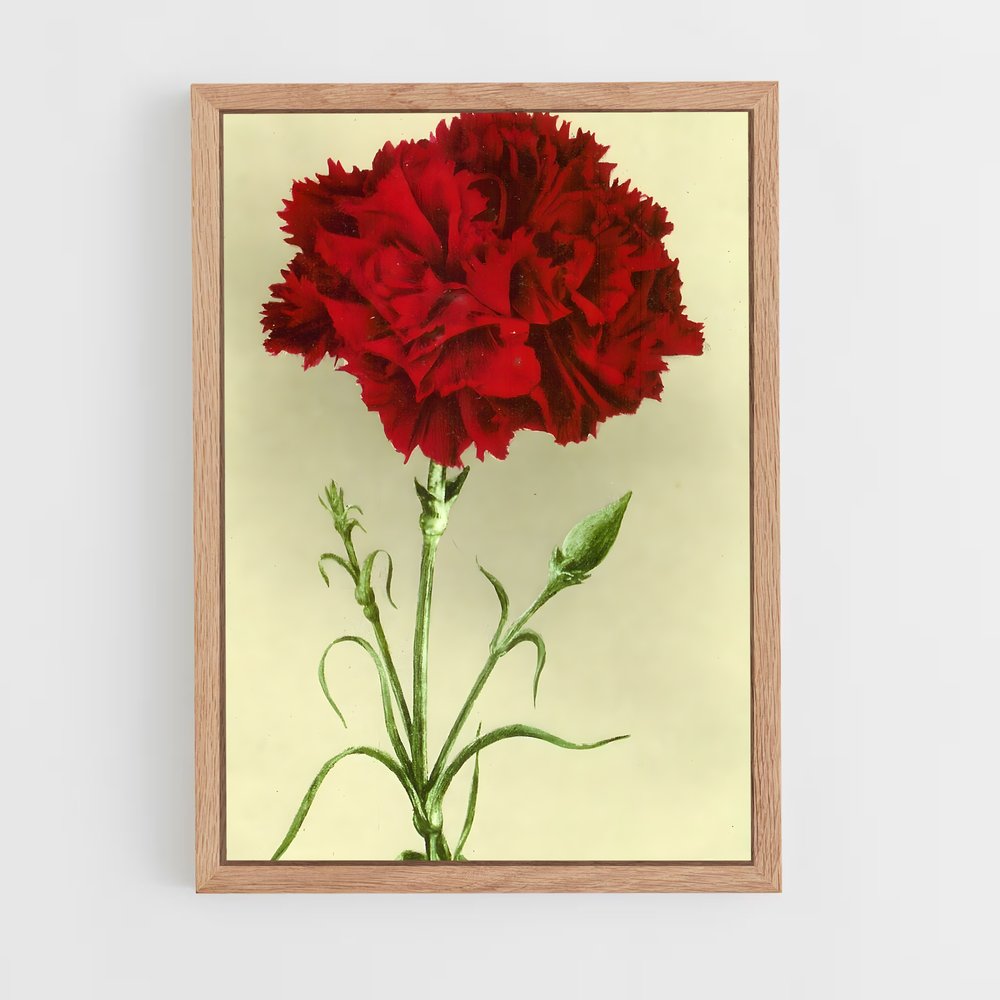 ap-carnation-11 cadre Bois clair