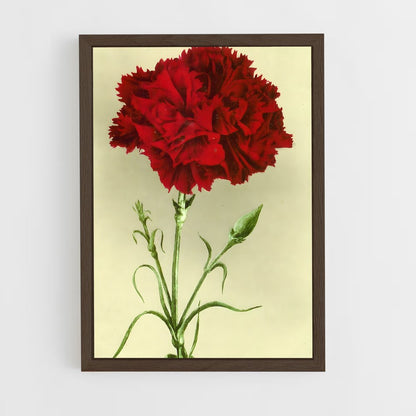 ap-carnation-11 cadre Bois foncé