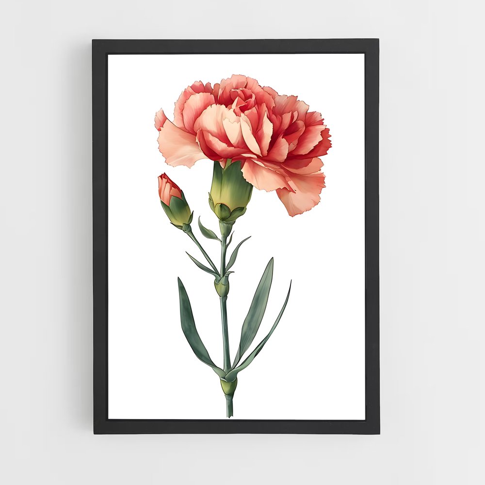 ap-carnation-2 cadre Noir
