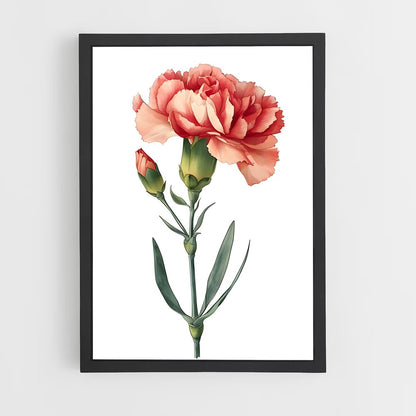 ap-carnation-2 cadre Noir