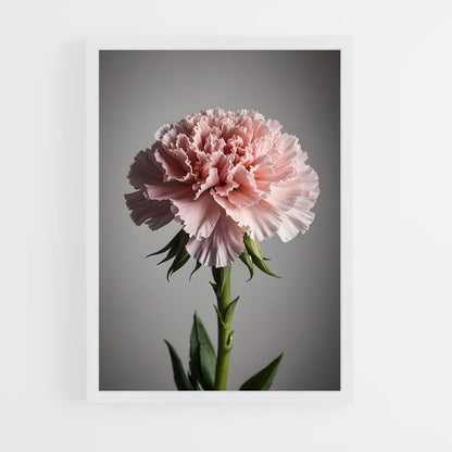 ap-carnation-3 cadre Blanc