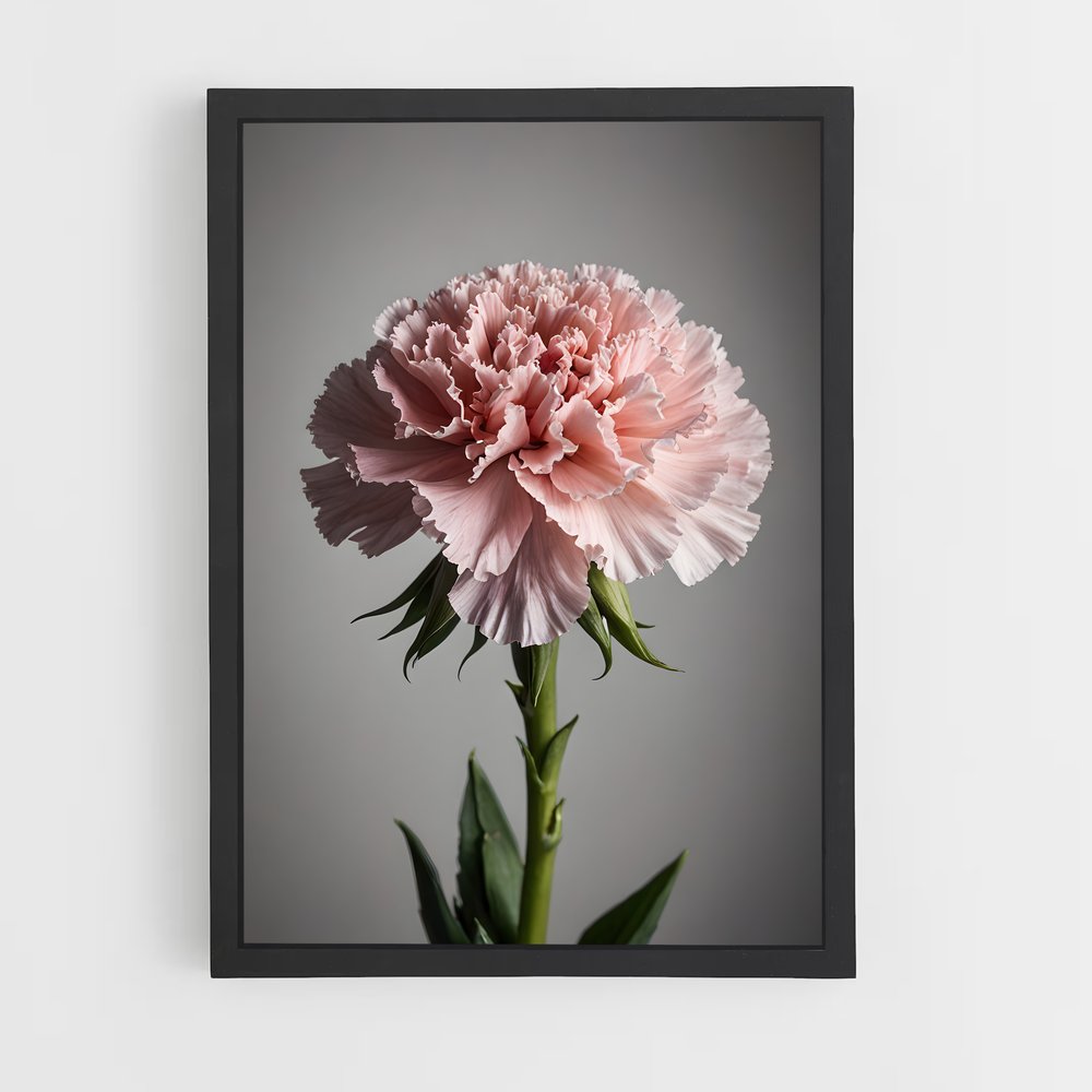 ap-carnation-3 cadre Noir