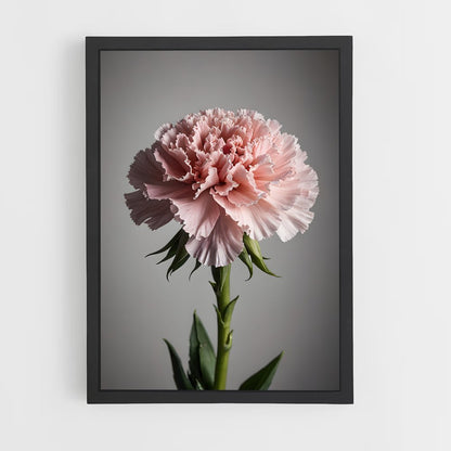 ap-carnation-3 cadre Noir