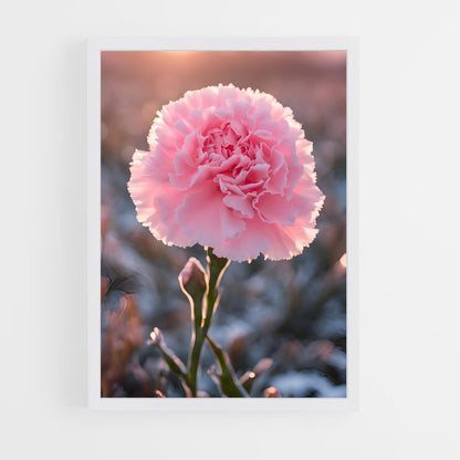 ap-carnation-4 cadre Blanc