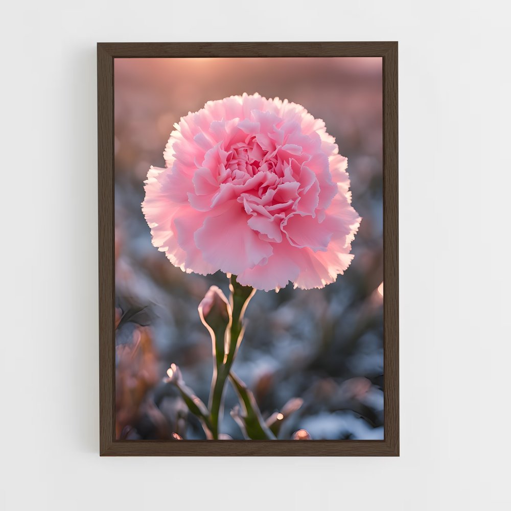 ap-carnation-4 cadre Bois foncé
