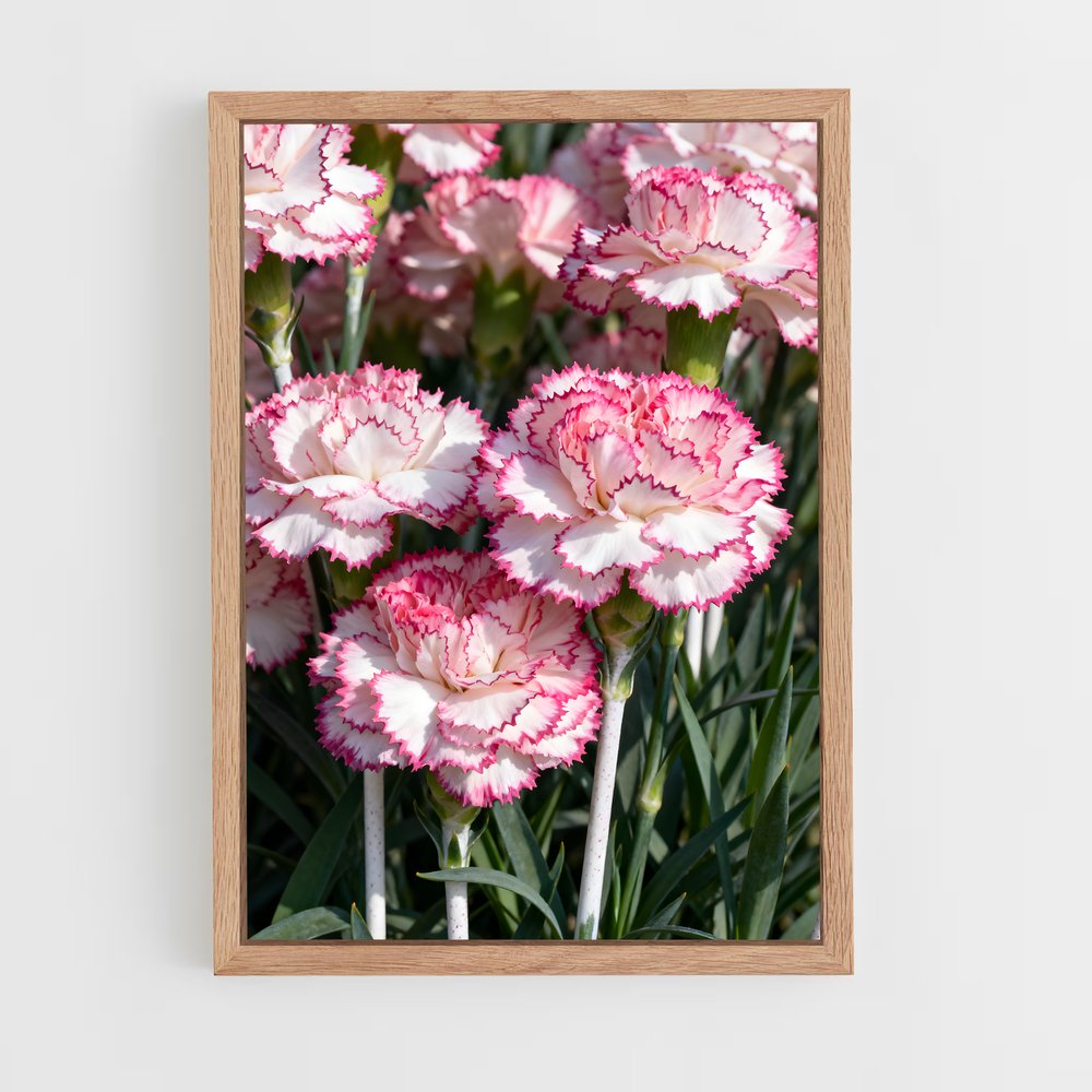 ap-carnation-5 cadre Bois clair