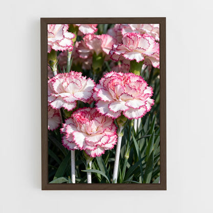 ap-carnation-5 cadre Bois foncé