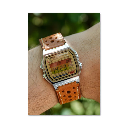 Poster Casio 21633