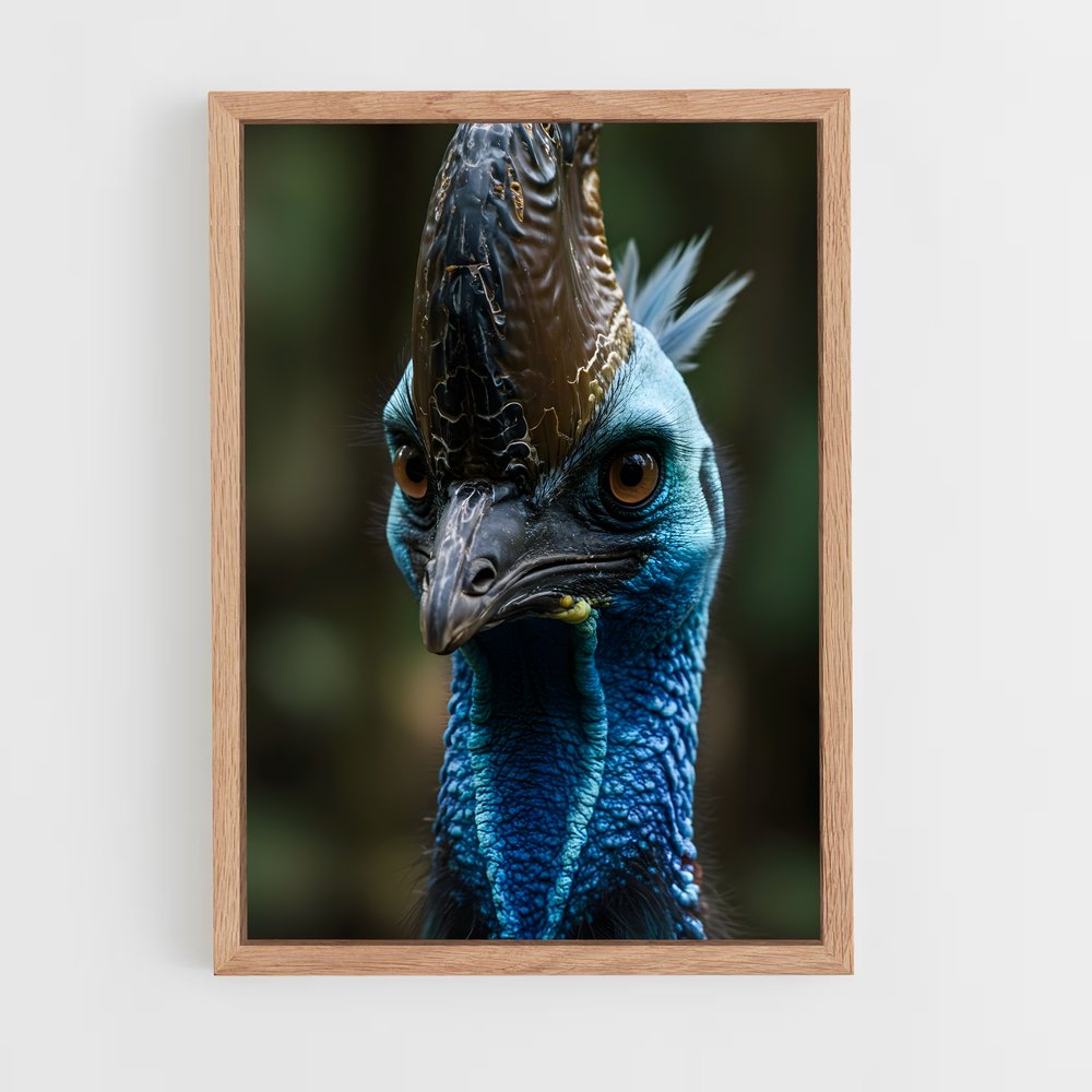 ap-cassowary-5 cadre Bois clair
