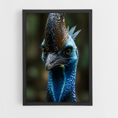 ap-cassowary-5 cadre Noir