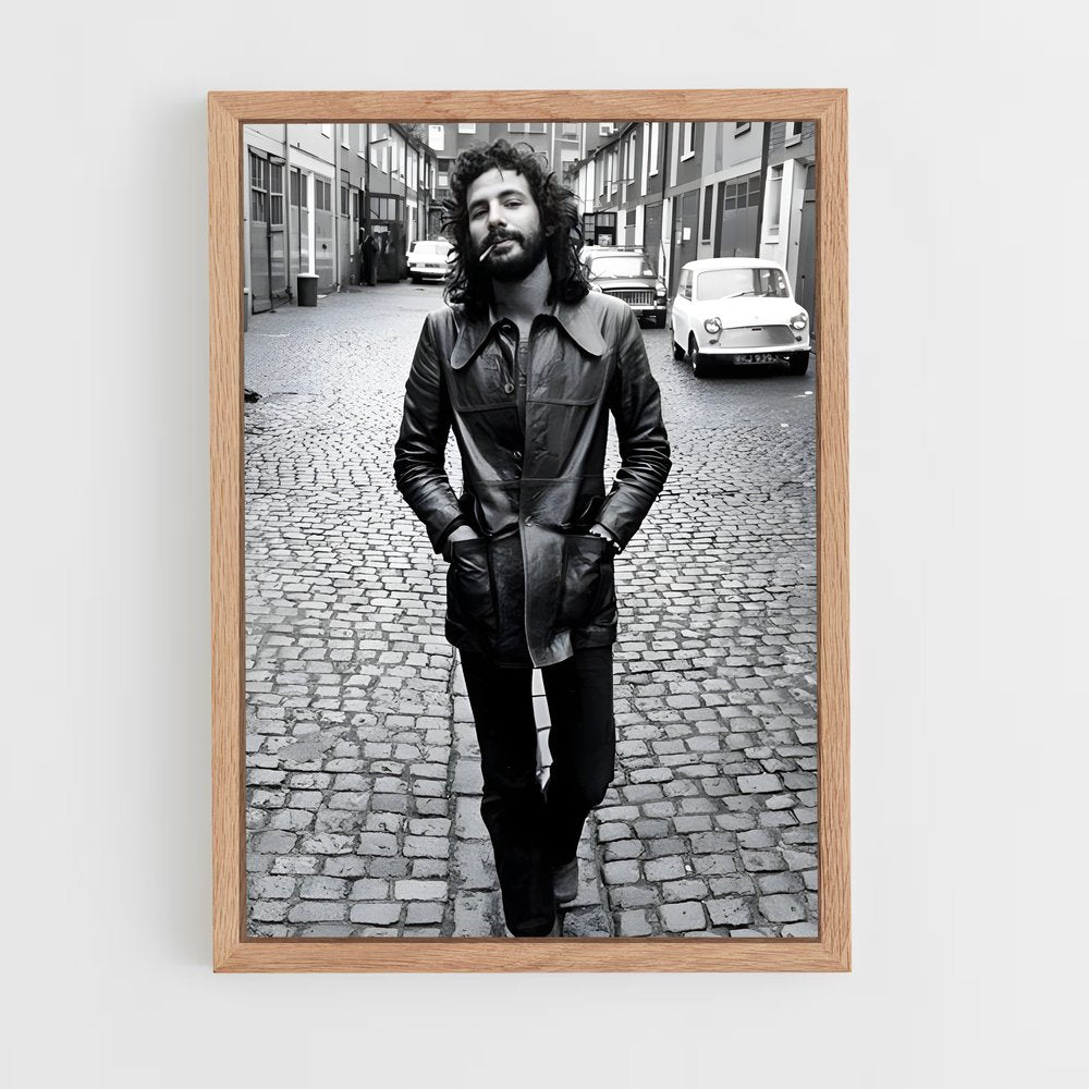 ap-cat stevens-1 cadre Bois clair
