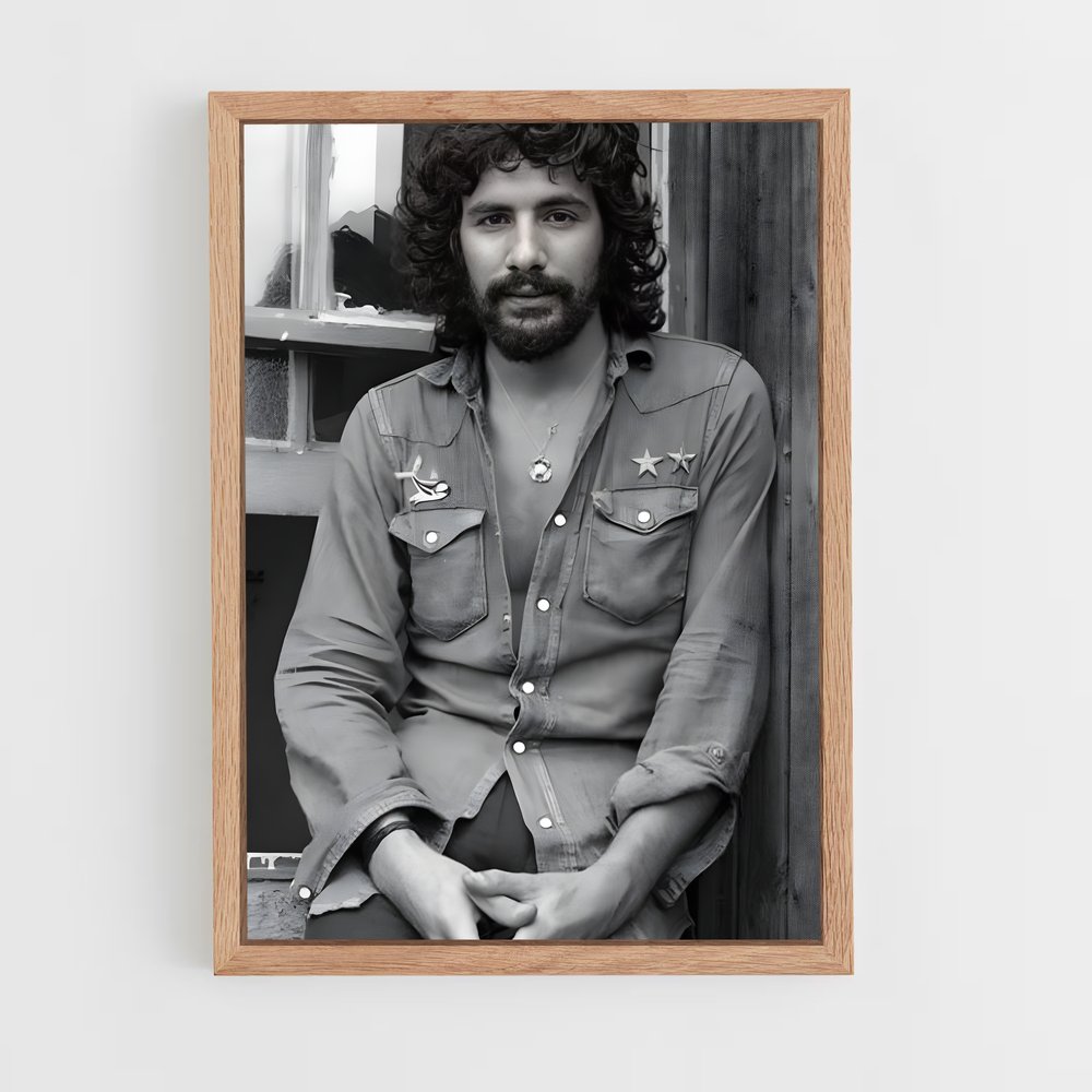 ap-cat stevens-3 cadre Bois clair