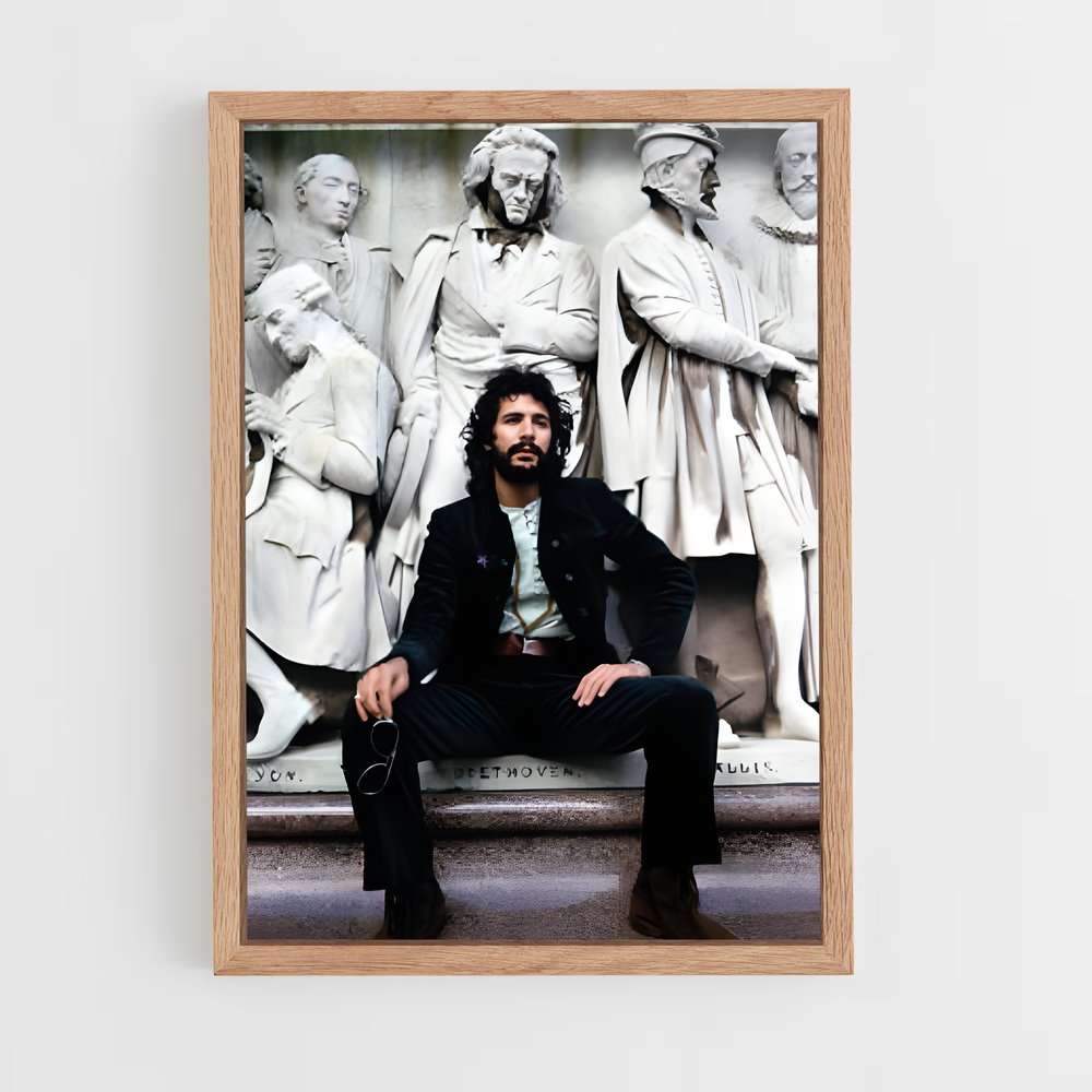 ap-cat stevens-4 cadre Bois clair