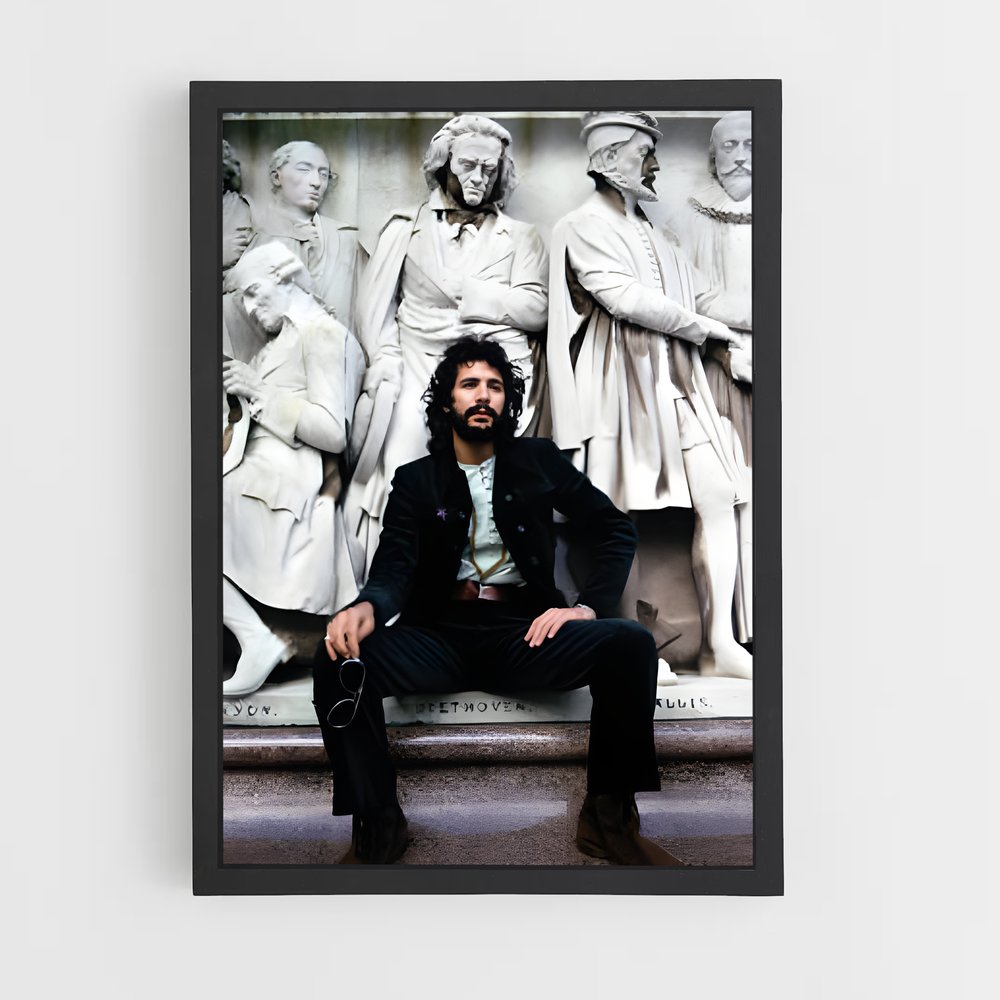 ap-cat stevens-4 cadre Noir