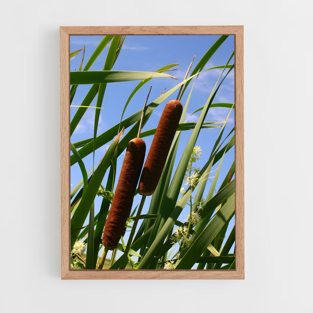 ap-cattail-2 cadre Bois clair