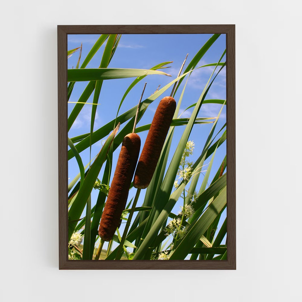 ap-cattail-2 cadre Bois foncé