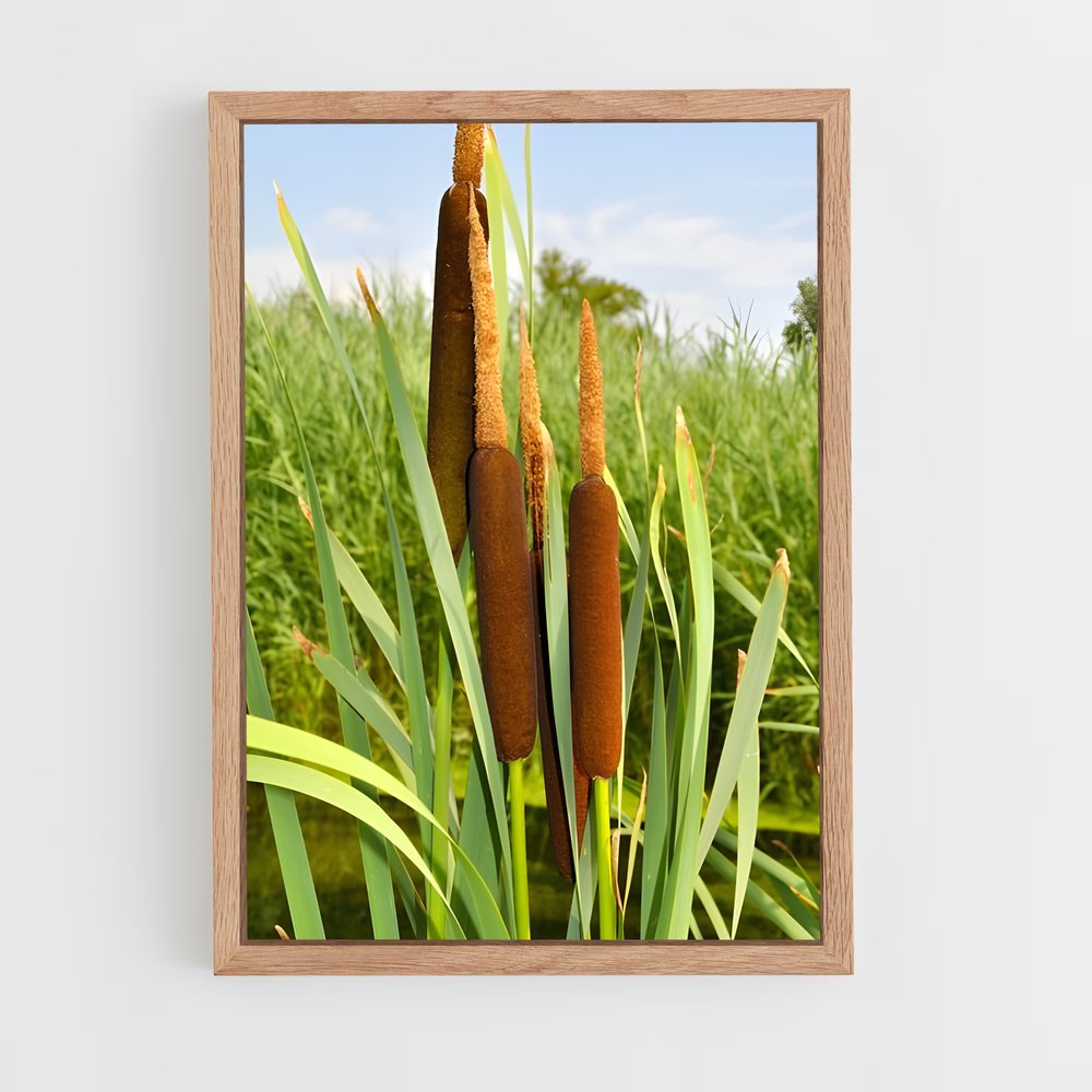 ap-cattail-3 cadre Bois clair