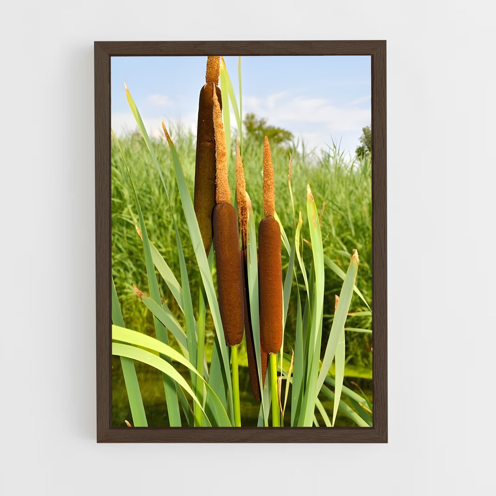 ap-cattail-3 cadre Bois foncé