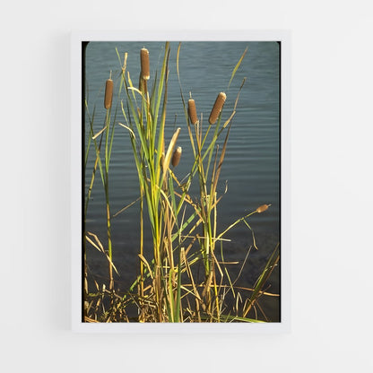 ap-cattail-4 cadre Blanc