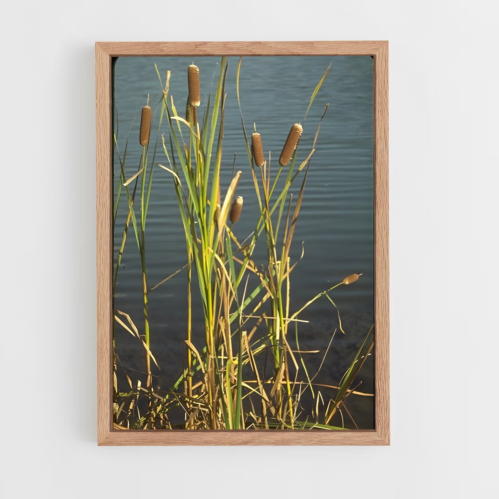 ap-cattail-4 cadre Bois clair