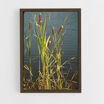 ap-cattail-4 cadre Bois foncé