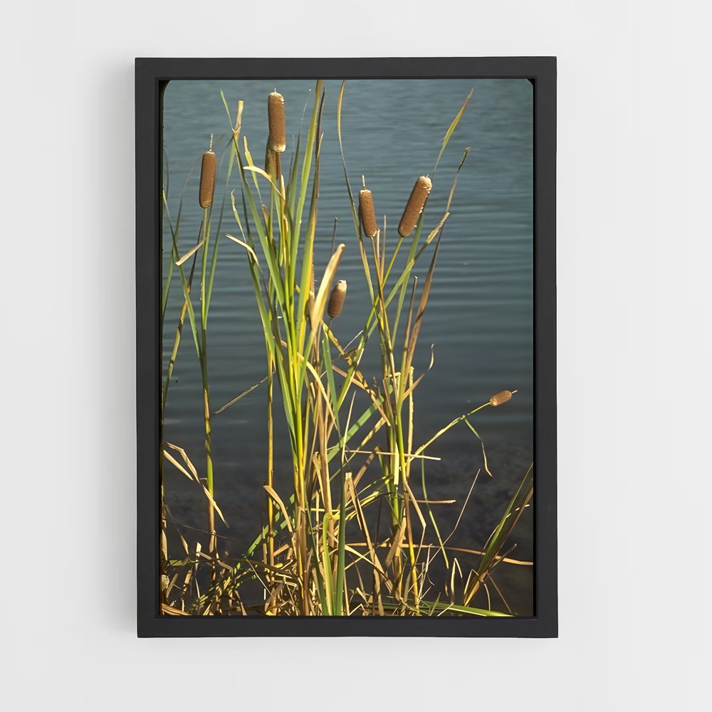ap-cattail-4 cadre Noir