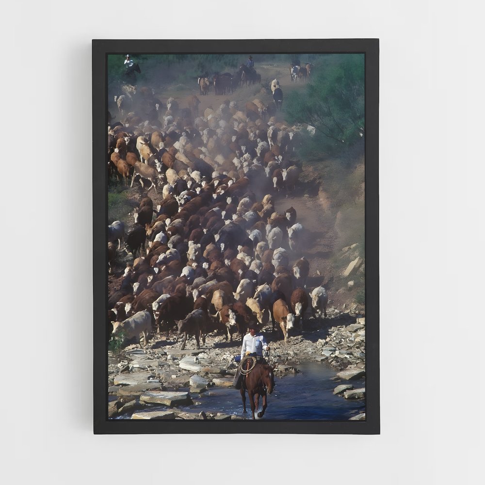 ap-cattle ranch-1 cadre Noir