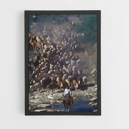ap-cattle ranch-1 cadre Noir