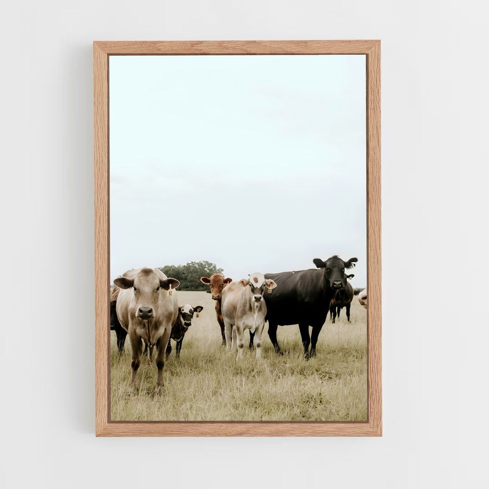 ap-cattle ranch-3 cadre Bois clair