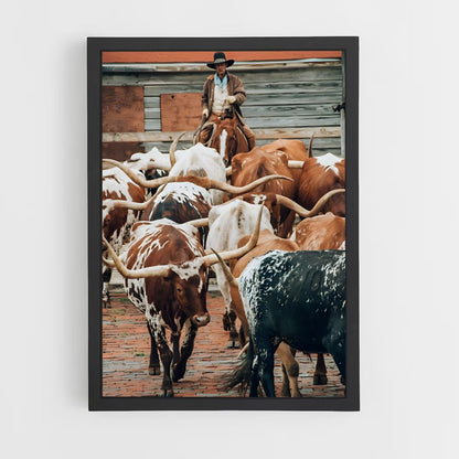 ap-cattle ranch-4 cadre Noir