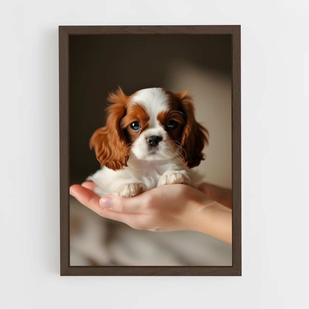 ap-cavalier king charles spaniel-3 cadre Bois foncé