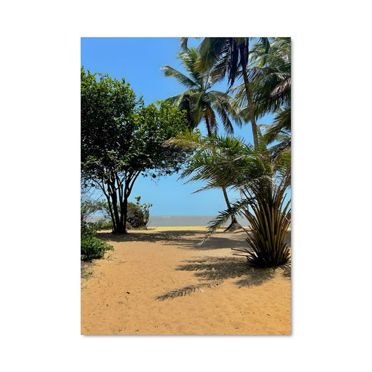 Poster Paradis Cayenne