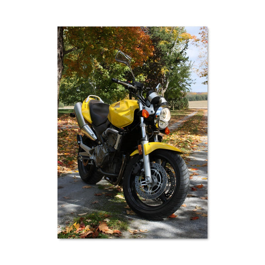 Poster Roadster Jaune