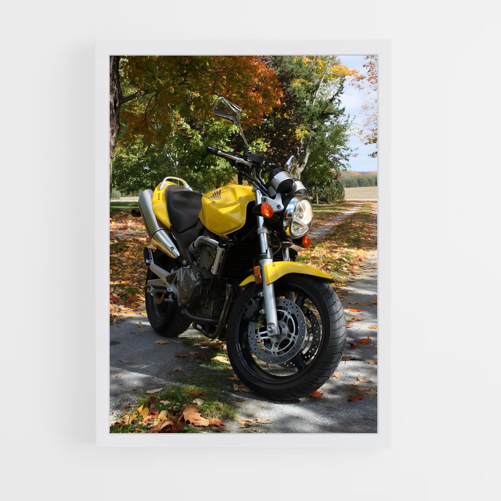 ap-cb600f hornet-3 cadre Blanc
