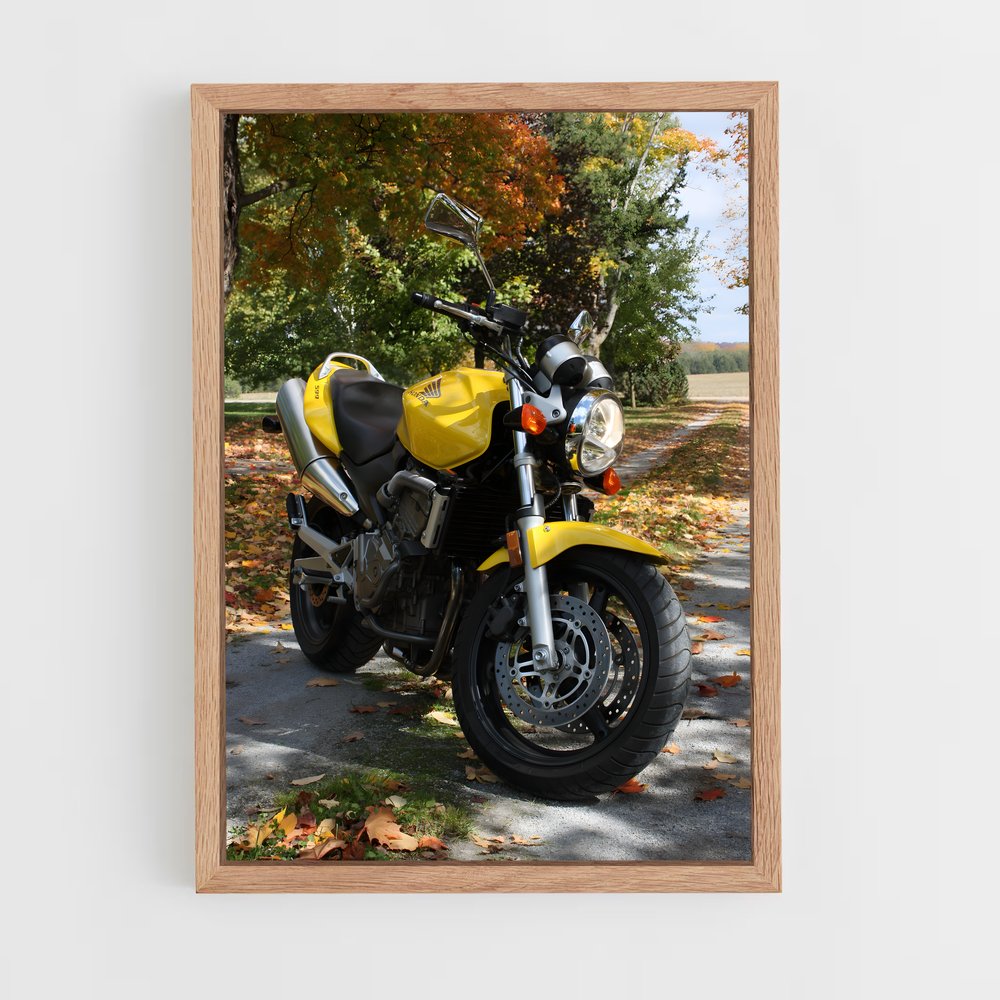 ap-cb600f hornet-3 cadre Bois clair