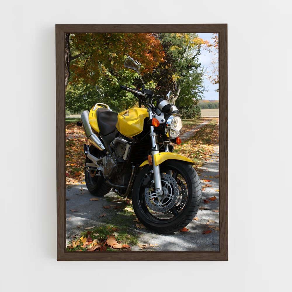 ap-cb600f hornet-3 cadre Bois foncé