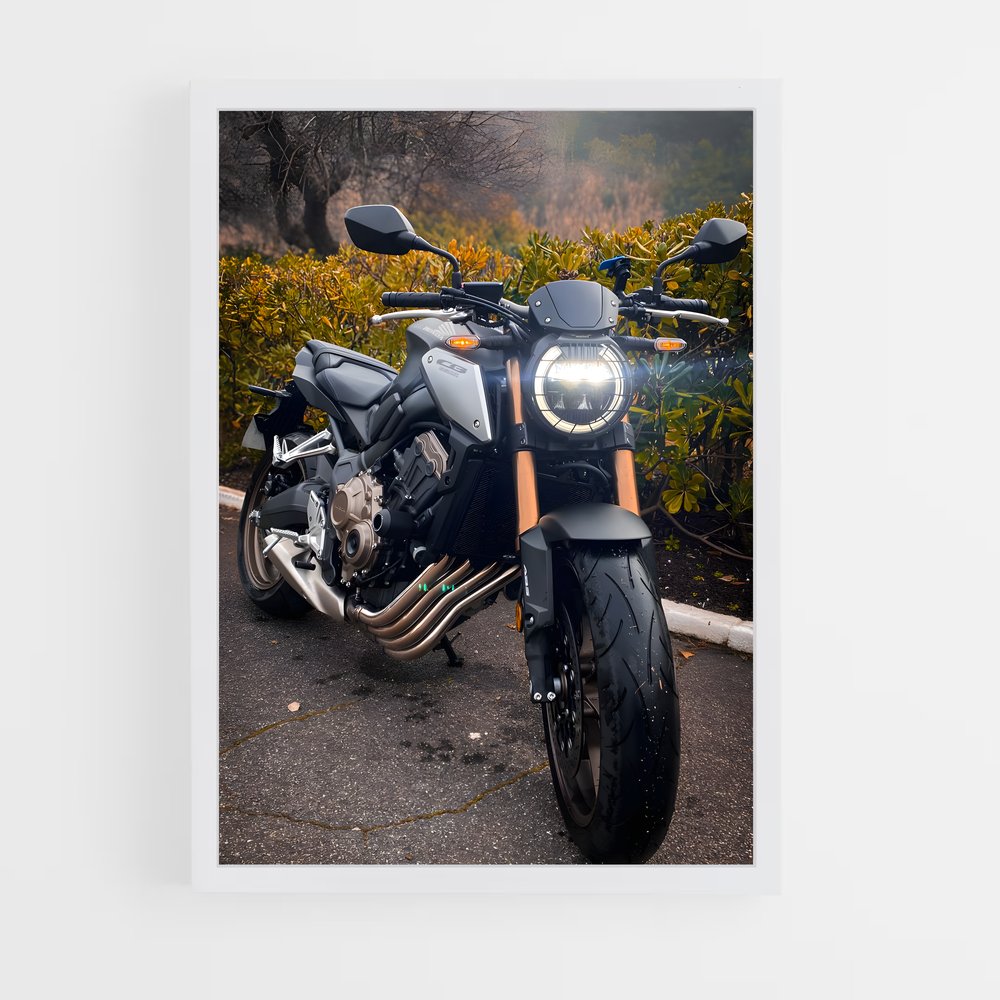 ap-cb650f-1 cadre Blanc