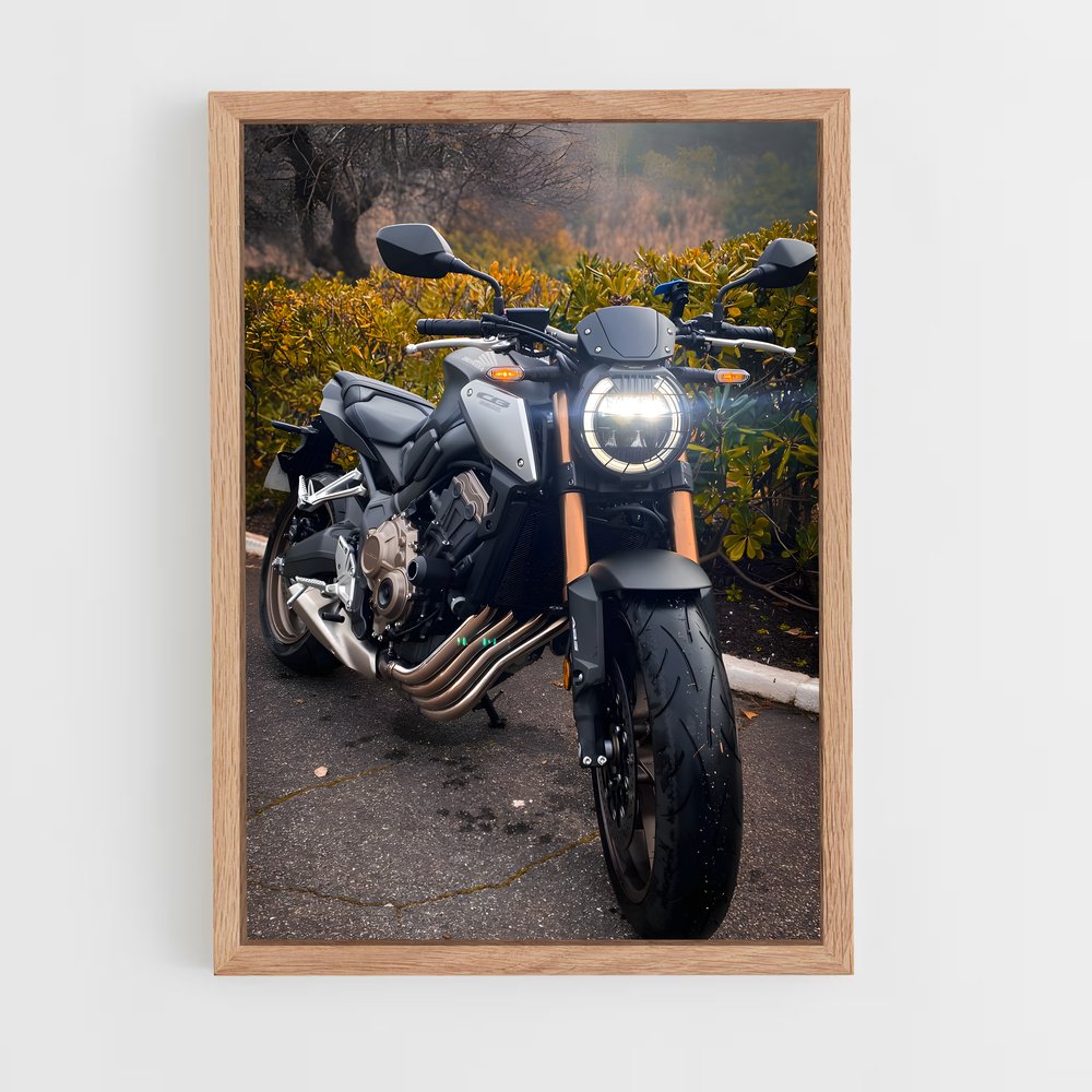 ap-cb650f-1 cadre Bois clair