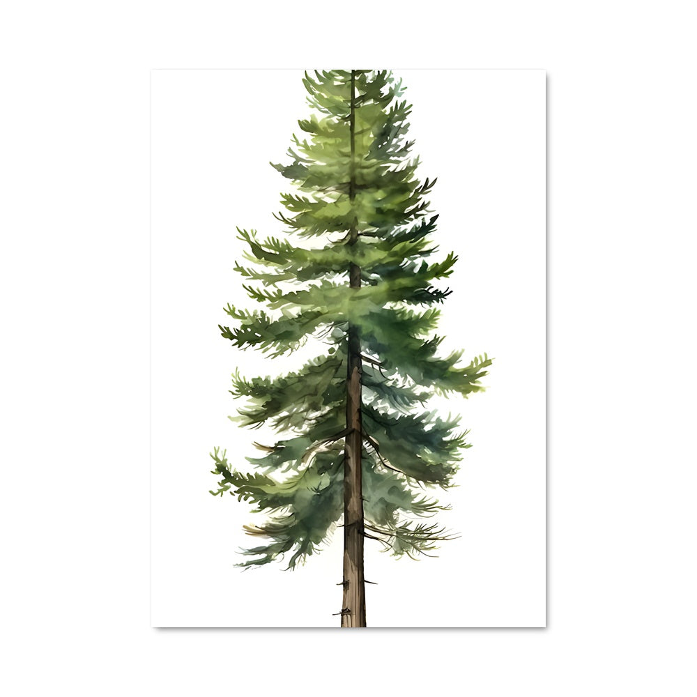 Poster Cedar 96979