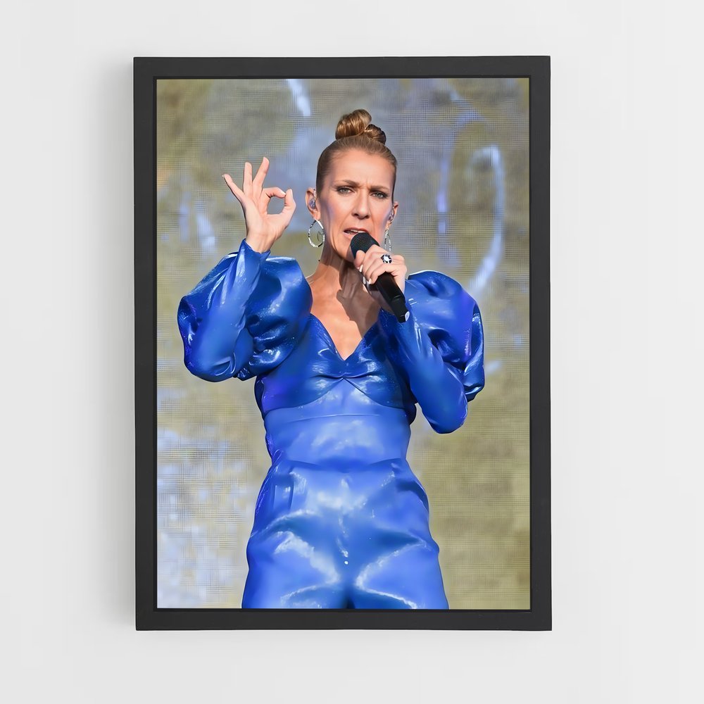 ap-celine dion-5 cadre Noir