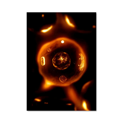 Poster Lumière de Cire