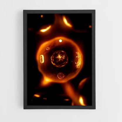ap-cell division-3 cadre Noir