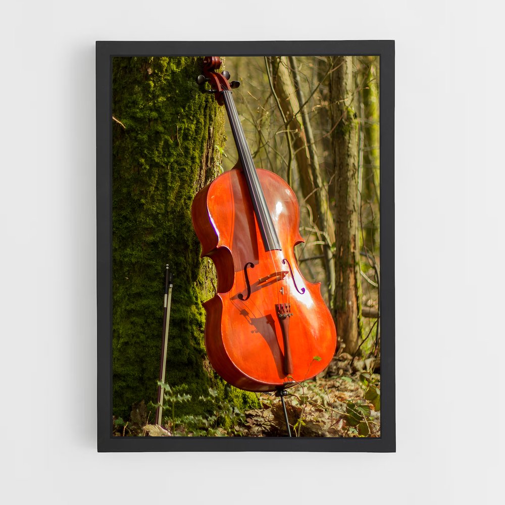 ap-cello-4 cadre Noir