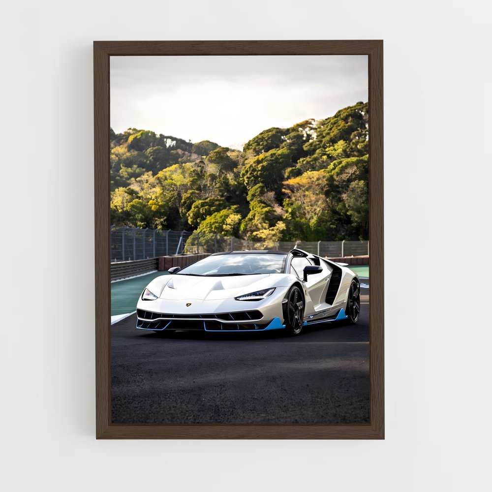 ap-centenario roadster-1 cadre Bois foncé