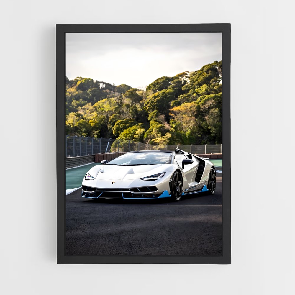 ap-centenario roadster-1 cadre Noir