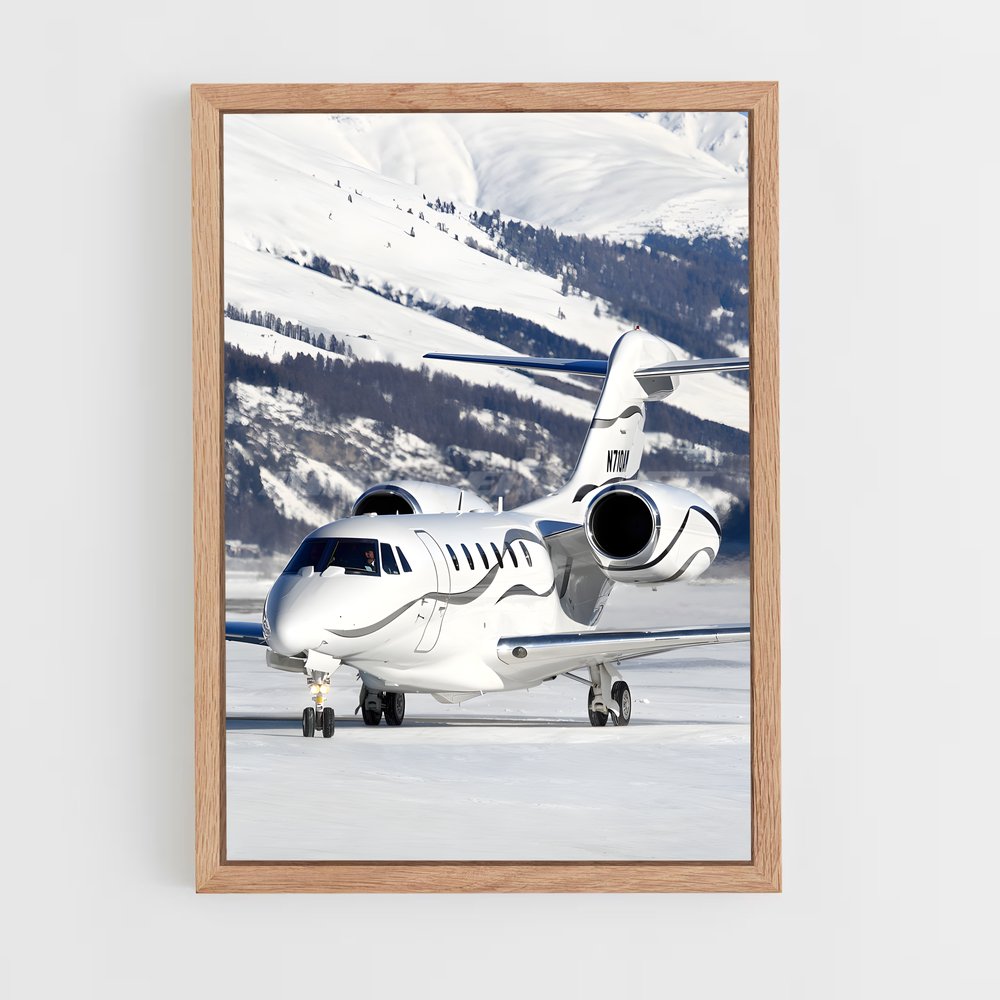 ap-cessna citation x-1 cadre Bois clair