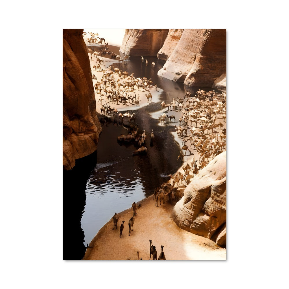 Poster Oasis Nomade