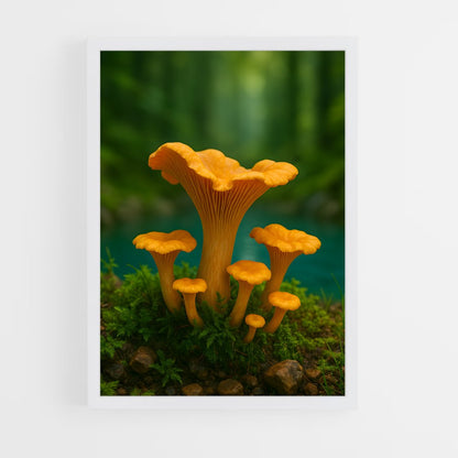 ap-chanterelle-1 cadre Blanc