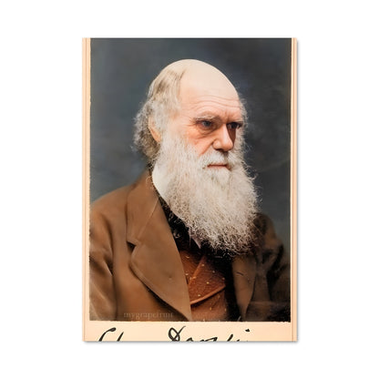 Poster L'Évolution de Darwin