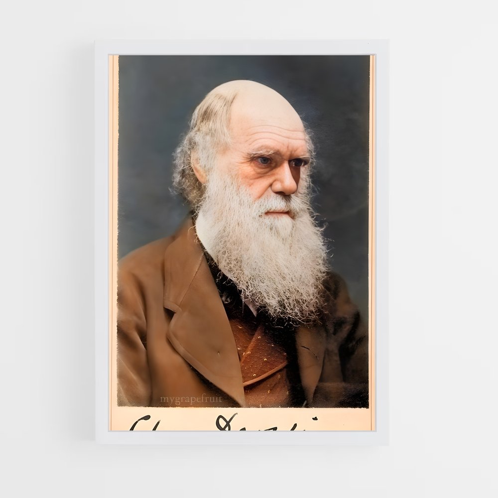 ap-charles darwin-1 cadre Blanc